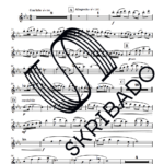01 – Flute – Holidays_preview