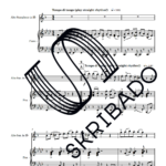 Preview van 02 – Alto Saxophone – Piano – Tango and Waltz in a Jazzy Mood